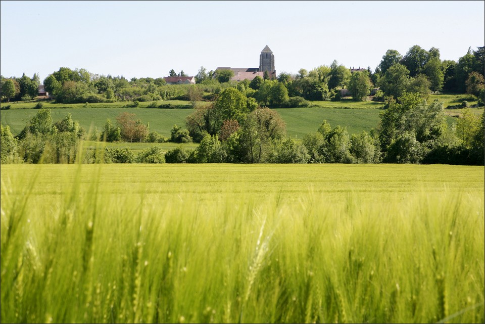 Etable de V&eacute;ronge - cadre champ&ecirc;tre